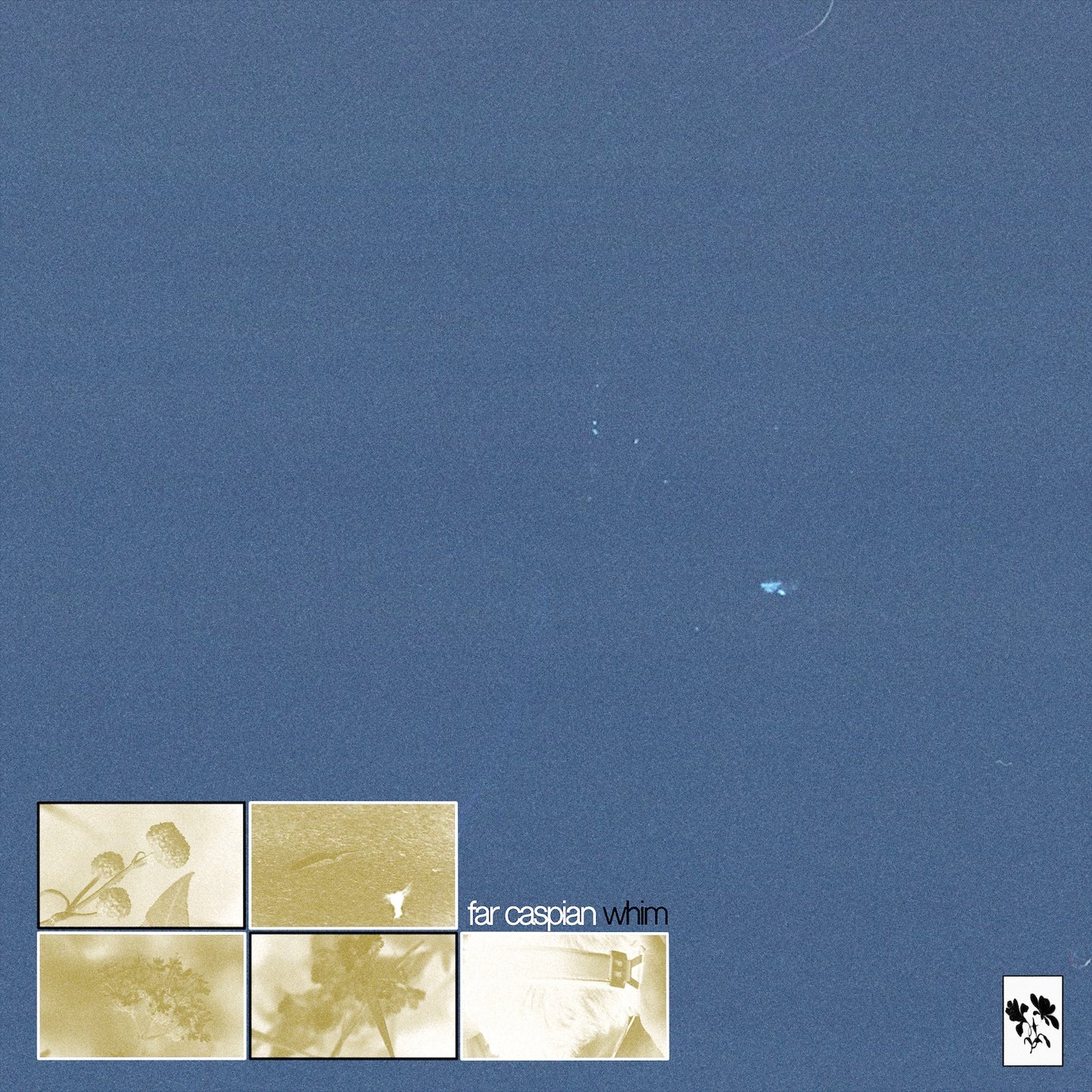 Far Caspian - Whim